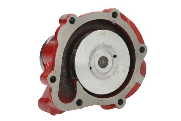 Wasserpumpe, Motorkühlung THERMOTEC WP-DZ111