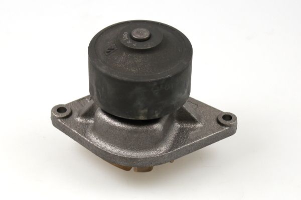 Wasserpumpe HEPU P1190