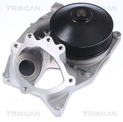 Wasserpumpe TRISCAN 8600 11051