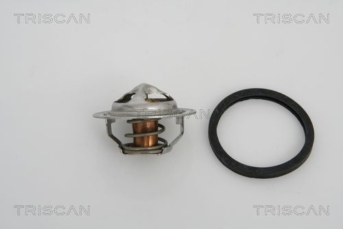 Kühlwasserthermostat TRISCAN 8620 13891