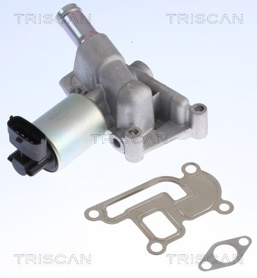 AGR-Ventil TRISCAN 881324001
