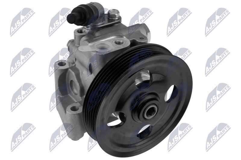 Servopumpe Hydraulikpumpe NTY SPW-FR-038