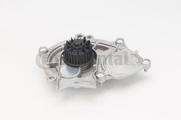 Wasserpumpe, Motorkühlung CONTINENTAL CTAM WP6122