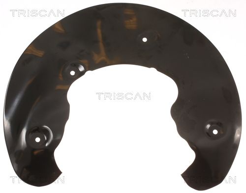 Spritzblech, Bremsscheibe TRISCAN 812529110