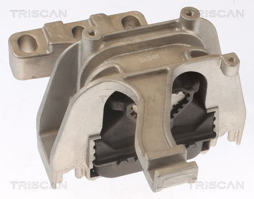 Motorlager TRISCAN 8505 29117