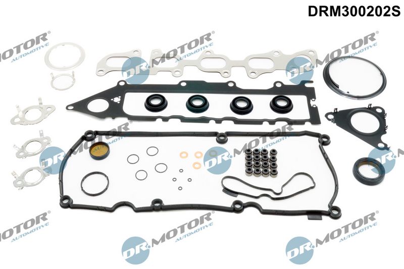 Dichtungsvollsatz  Motor Dr.Motor Automotive DRM300202S