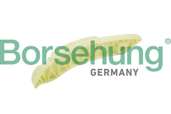 Gleitschiene, Steuerkette BORSEHUNG B1G054