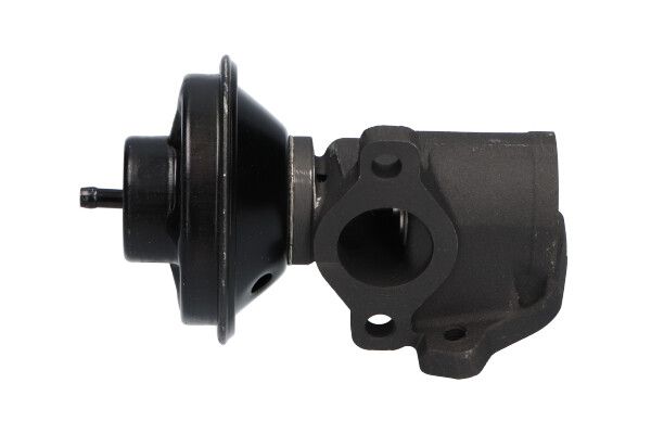 AGR-Ventil KAVO PARTS EEG-7503