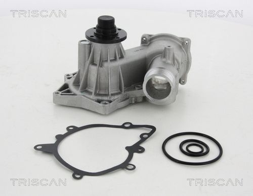 Wasserpumpe TRISCAN 8600 11037