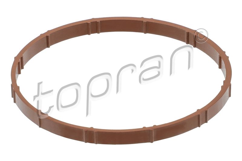 Dichtung, Ansaugkrümmergehäuse TOPRAN 504 934