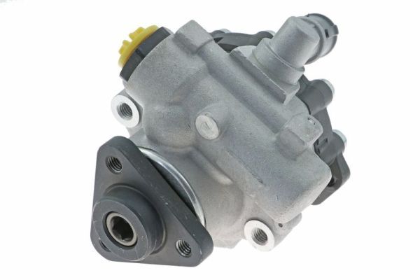 Pump, styrservo LAUBER 55.8501