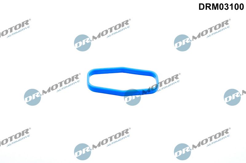 Dichtung Ölpumpe Dr.Motor Automotive DRM03100