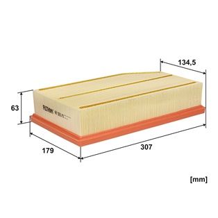 Luftfilter Filtron AP093/8