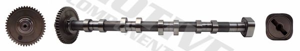 Nockenwelle motive T2131