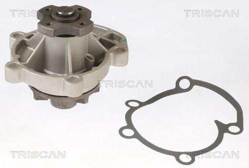 Wasserpumpe TRISCAN 8600 65336