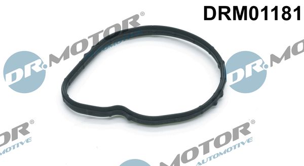 Dichtung Thermostat Dr.Motor Automotive DRM01181