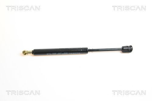 Heckklappendämpfer TRISCAN 8710 65207