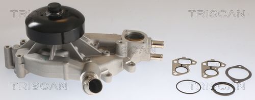 Wasserpumpe TRISCAN 8600 80022