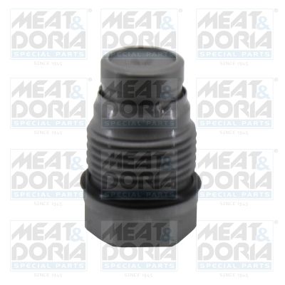 Druckbegrenzungsventil, Common-Rail-System MEAT & DORIA 98149