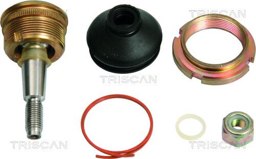 Reparatursatz Traggelenk TRISCAN 8500 15504