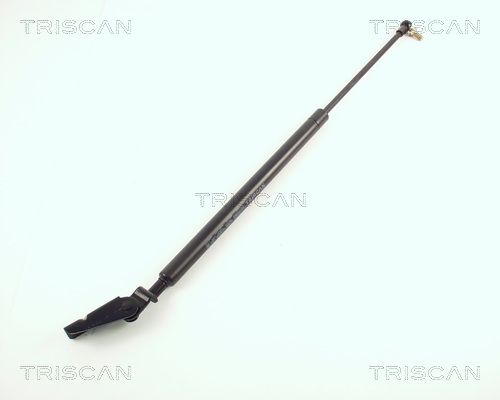 Heckklappendämpfer TRISCAN 8710 50205