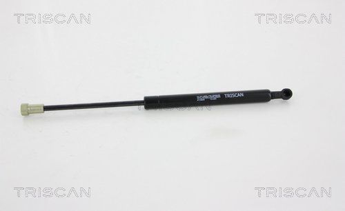 Heckklappendämpfer TRISCAN 8710 38226