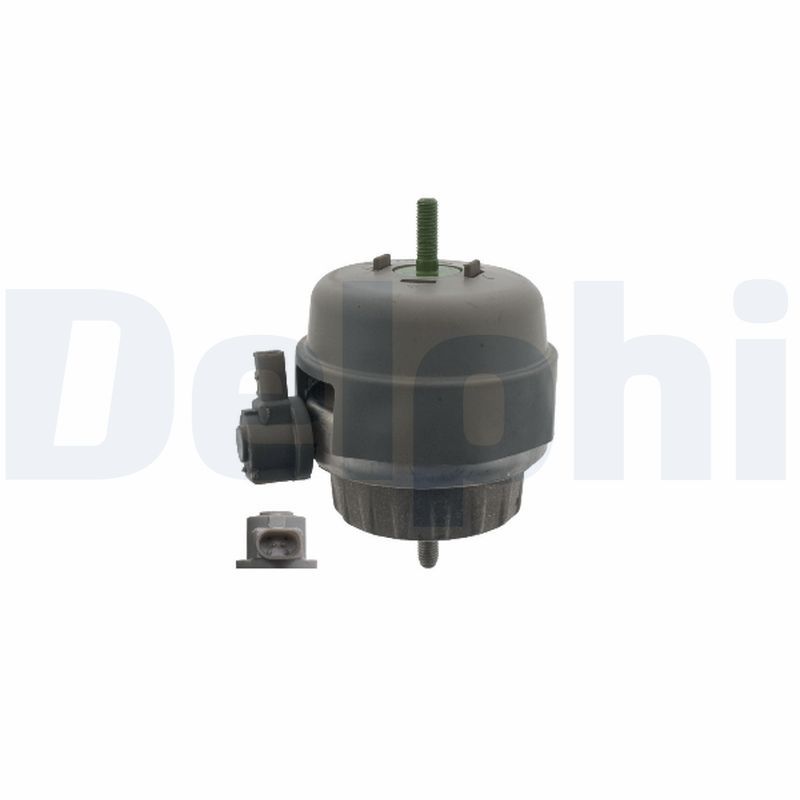 Lagerung, Motor DELPHI TEM277