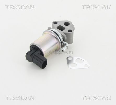 AGR-Ventil TRISCAN 881329007