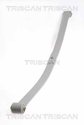 Federnpaket TRISCAN 876529019