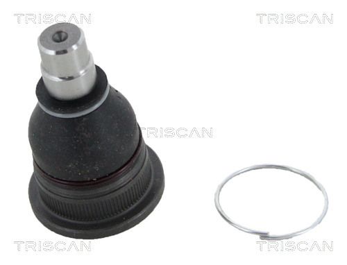 Trag-/Führungsgelenk TRISCAN 850015587