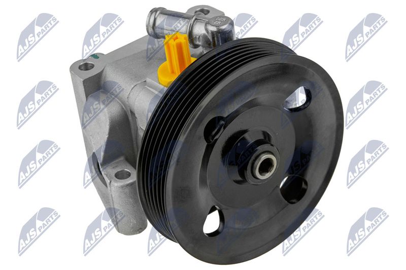 Hydraulikpumpe, Lenkung NTY SPW-FR-028