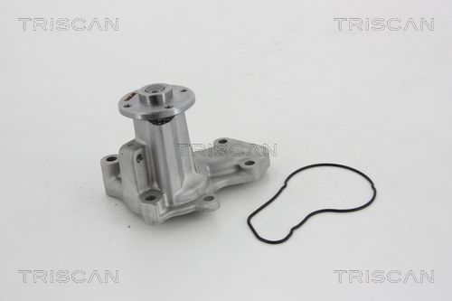 Wasserpumpe TRISCAN 8600 42020