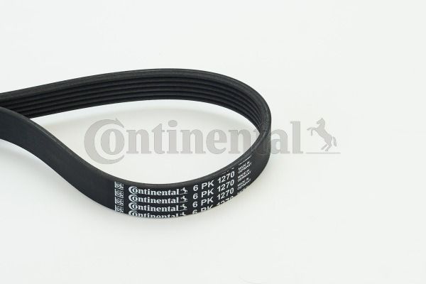 Keilrippenriemen CONTINENTAL CTAM 6PK1270