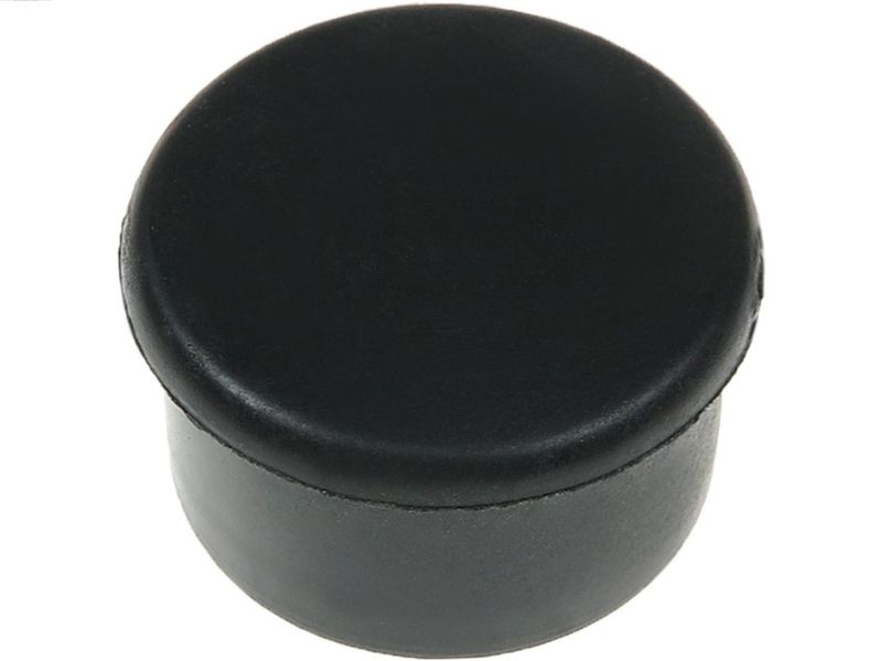 Starterdeckel, Vergaser AS-PL srs0026