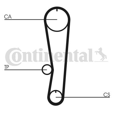 Zahnriemen CONTINENTAL CTAM CT895