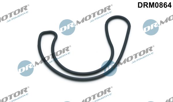 Dichtung, AGR-Ventil DR.MOTOR AUTOMOTIVE DRM0864