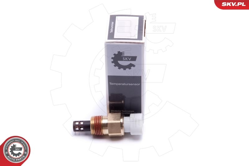 Sensor, Ansauglufttemperatur ESEN SKV 17SKV678