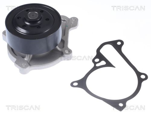 Wasserpumpe TRISCAN 8600 50013