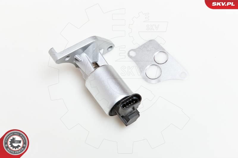 AGR-Ventil ESEN SKV 14SKV013