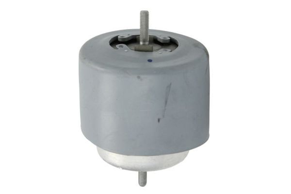 Lagerung, Motor REINHOCH RH11-0071