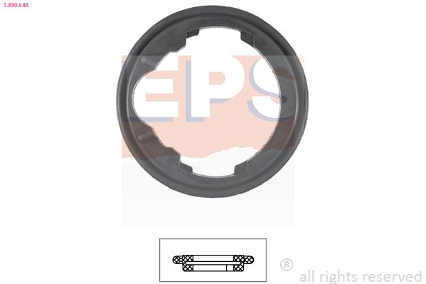 Dichtung, Thermostat EPS 1-890-548