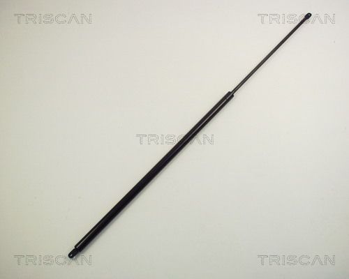 Heckklappendämpfer TRISCAN 8710 1201