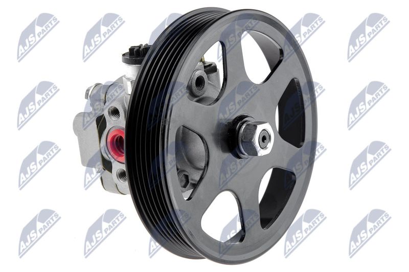 Servopumpe Hydraulikpumpe NTY SPW-MZ-004