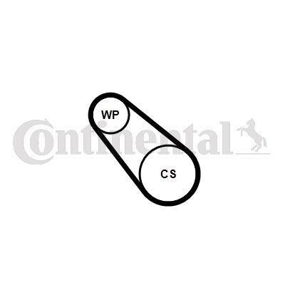Wasserpumpe + Keilrippenriemensatz CONTINENTAL CTAM 3PK576ELASTWP2