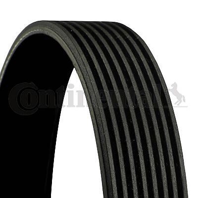 Flerspårsrem CONTINENTAL CTAM 8PK1226