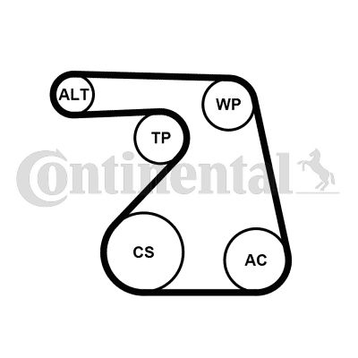 Keilrippenriemensatz CONTINENTAL CTAM 6pk1217k2