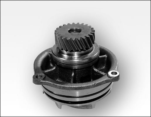 Wasserpumpe, Motorkühlung HEPU P1176
