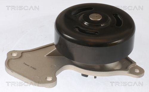 Wasserpumpe TRISCAN 8600 25095