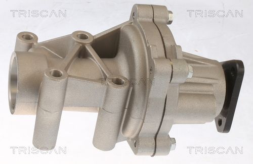 Wasserpumpe TRISCAN 8600 43027