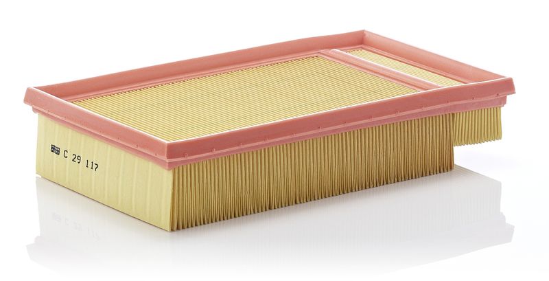 Luftfilter MANN-FILTER c 29 117